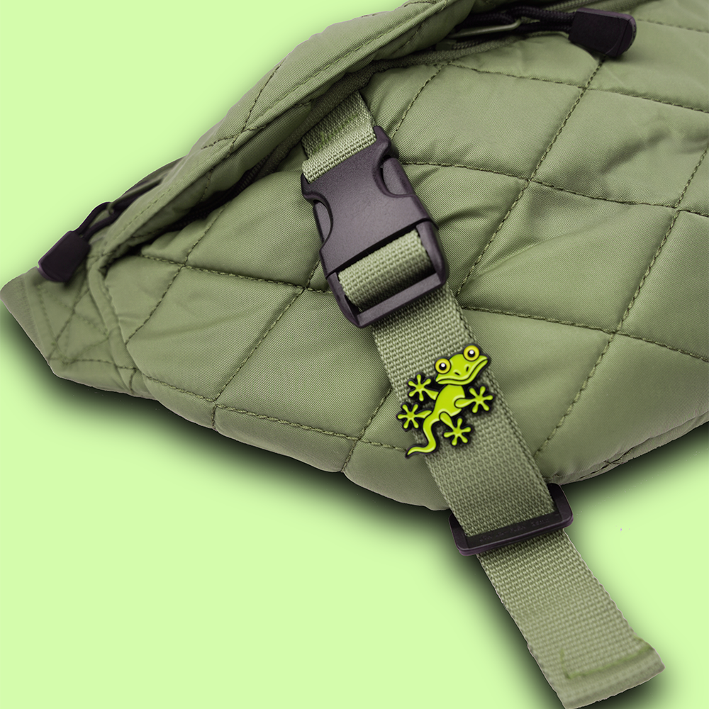 PIN GEKKO 2